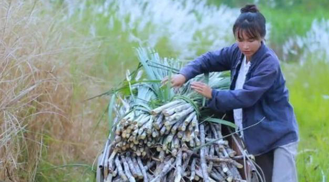 宏天凱泡棉廠家定制